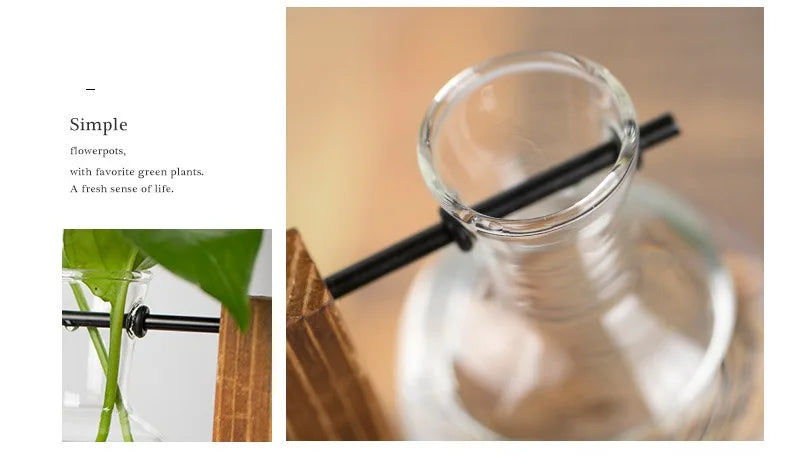 Flower Pot Transparent Vase Wooden Frame Glass Home Decoration