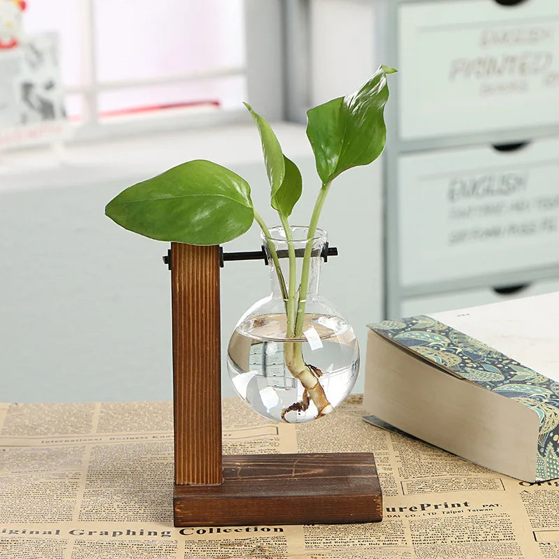 Flower Pot Transparent Vase Wooden Frame Glass Home Decoration